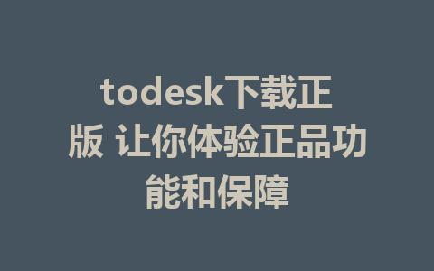 todesk下载正版 让你体验正品功能和保障